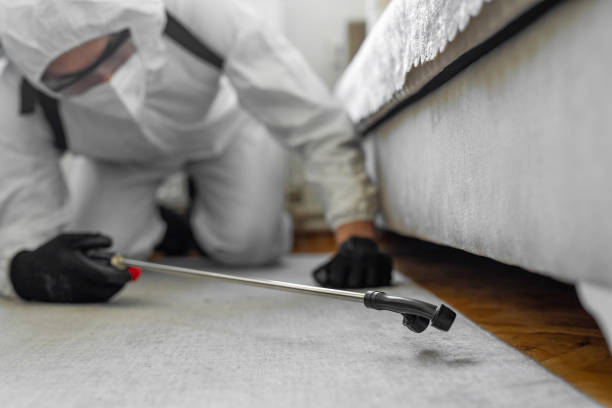 Professional Cockroach Control technician working in Bonita Springs, FL